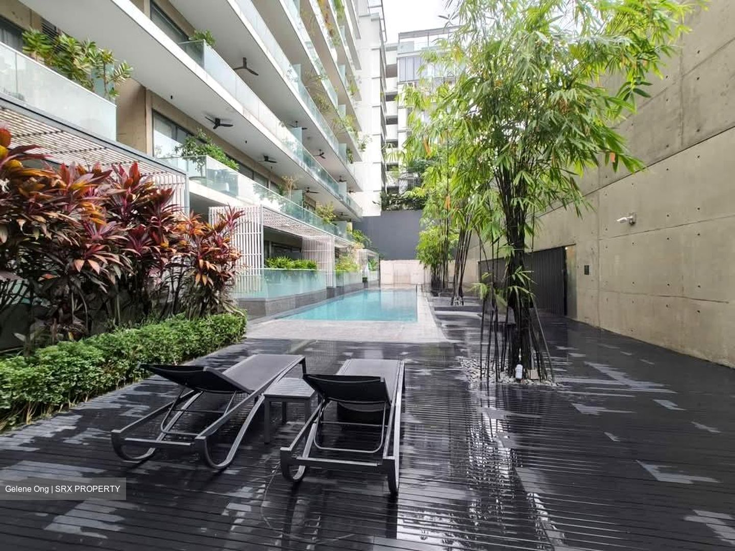 Robertson Blue (D9), Apartment #556257721